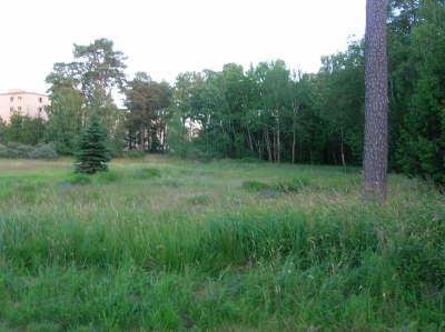 Blick nach rechts Kino wo bist du geblieben