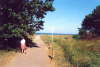 Weg zum Strand - war zwar Postenbereich, aber manchmal konnte man sich schon hinunterschleichen, und wenn man nur im Dunkeln im Herbststurm stand.